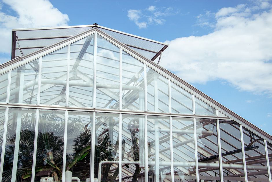 A modern glass greenhouse against a bright blue sky capturing nature's growth.