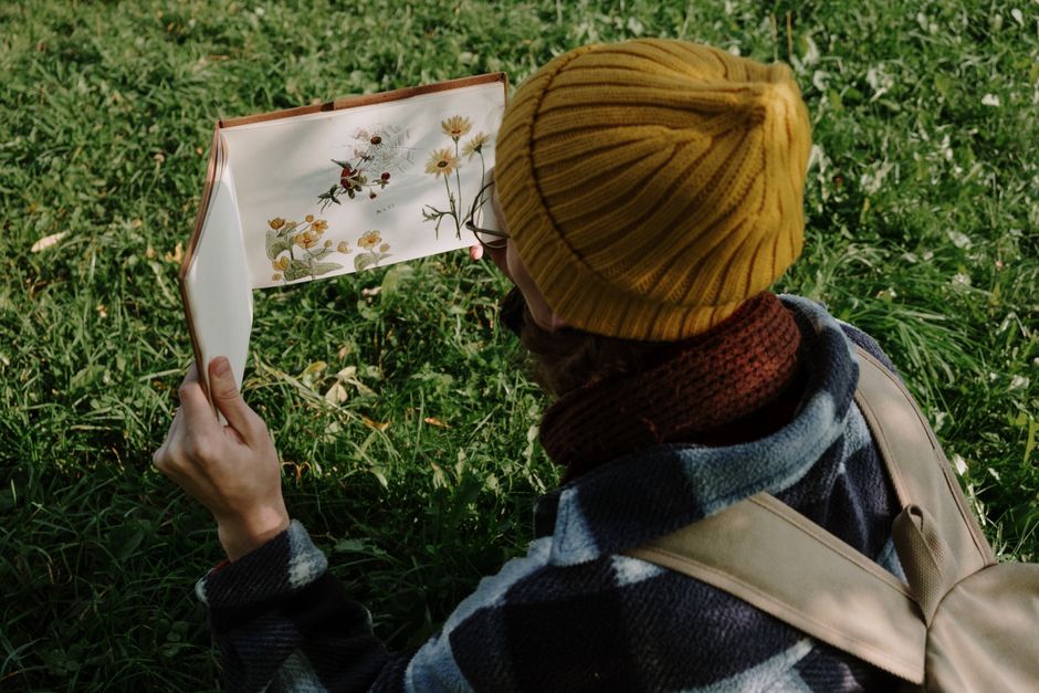 A person wearing a beanie examines a botanical sketchbook in a grassy field.