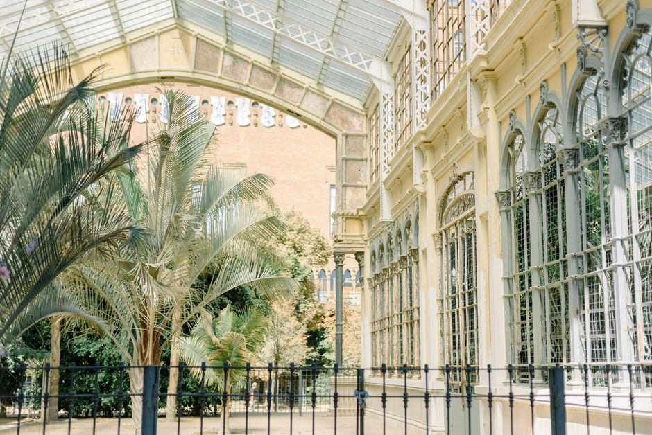 Sunlit Victorian-style greenhouse with lush palm trees and vintage architecture.